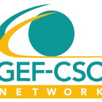 GEF-CSO-Network-300 (2)